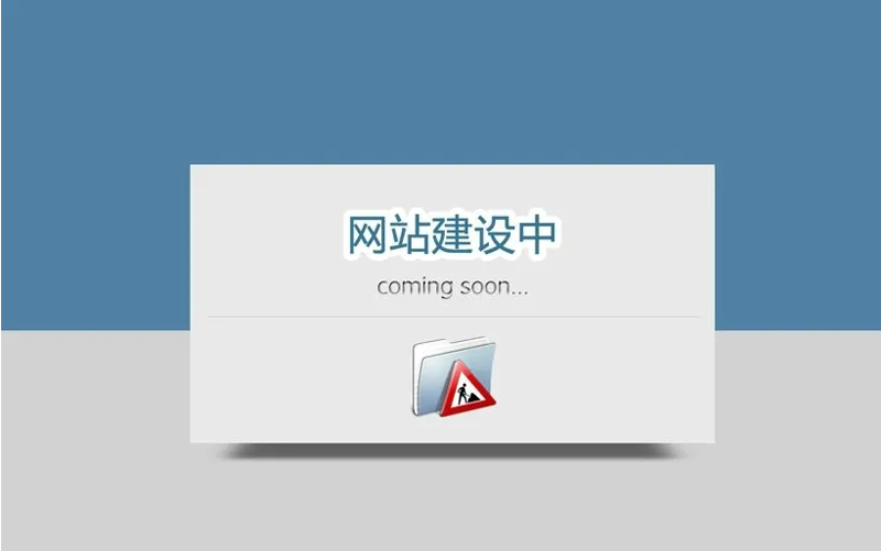 企业在选择网站定制服务时，常常会面临多种选择。本文将通过具体案例，对比分析两种主流的定制方式——传统外包和自主开发，并给出相应的行动指南。